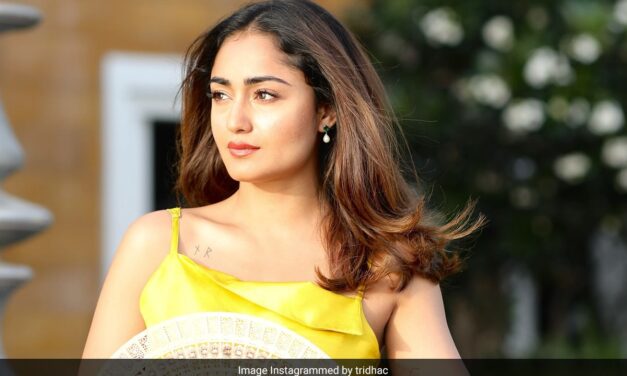समंदर किनारे पोज देती दिखीं आश्रम की बबीता, त्रिधा चौधरी के लेटेस्ट वीडियो को देख फैंस ने कर दिया दीपिका पादुकोण कंपेयर