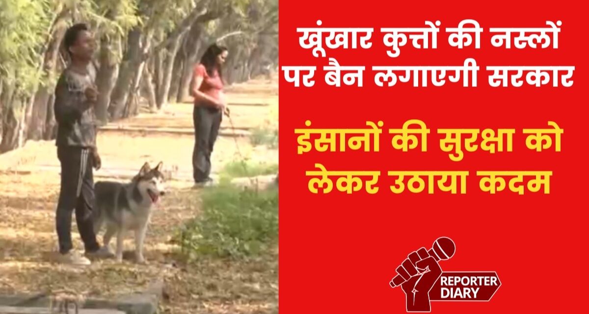 देश में कुत्तों की 23 खूंखार नस्लों पर लगेगा बैन, देखें ये वीडियो