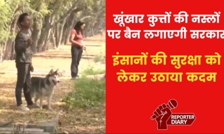 देश में कुत्तों की 23 खूंखार नस्लों पर लगेगा बैन, देखें ये वीडियो