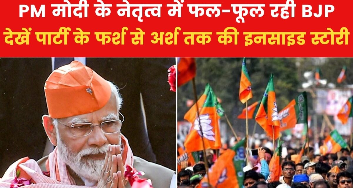 PM नरेंद्र मोदी ने कैसे BJP को फर्श से अर्श तक पहुंचाया?