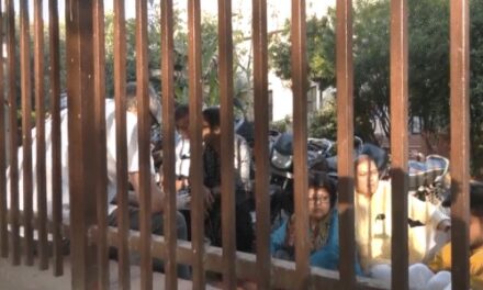 TMC सांसदों का सेंट्रल एजेंसीज के खिलाफ धरना जारी:ED, CBI और NIA के डायरेक्टर्स को हटाने की मांग पर अड़े, AAP का समर्थन