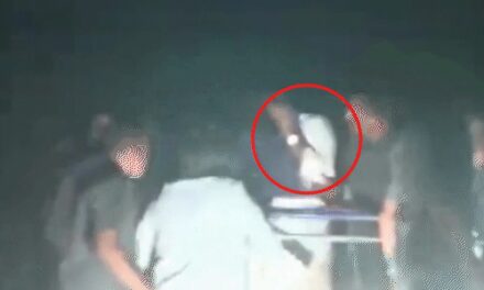 आंध्र प्रदेश के CM पर विजयवाड़ा में पथराव:जगन मोहन रेड्डी के माथे पर चोट लगी; रोड शो के दौरान फूलों के साथ पत्थर फेंके