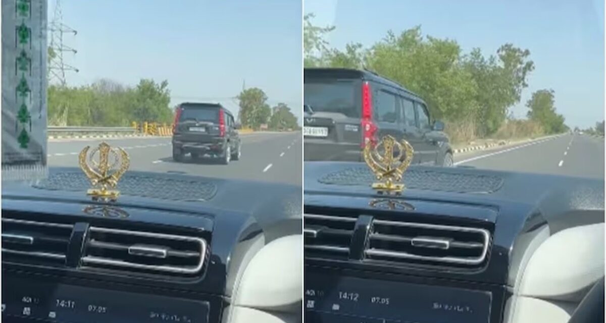 7 km तक चूहे