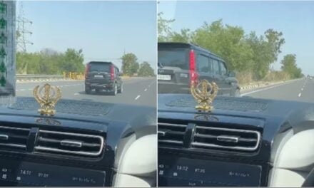 7 km तक चूहे