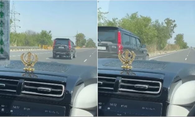7 km तक चूहे