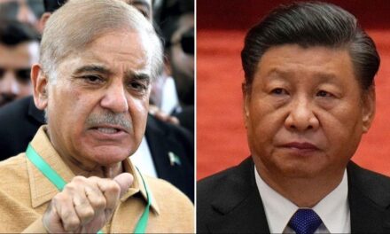 'हमारे लोगों को सुरक्षा दो…', बढ़ते आतंकी हमलों के बीच पाकिस्तान को चीन की दो टूक