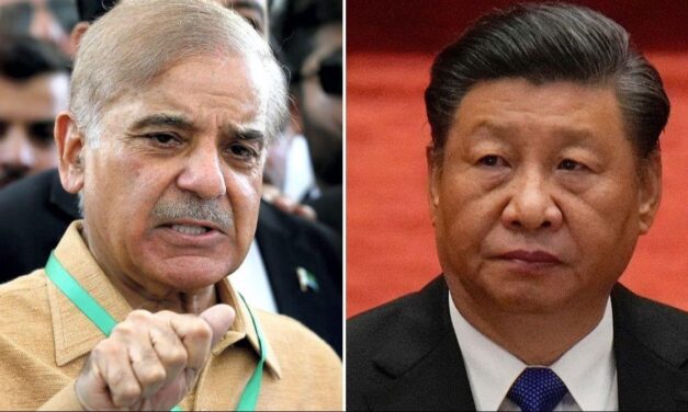 'हमारे लोगों को सुरक्षा दो…', बढ़ते आतंकी हमलों के बीच पाकिस्तान को चीन की दो टूक