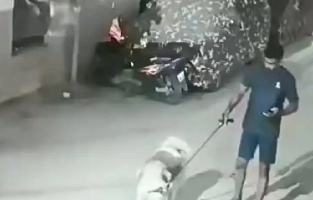 हैदराबाद में पेट डॉग को लेकर विवाद:घर के बाहर कुत्ता घुमाने को लेकर गुस्साए पड़ोसी; डॉग ओनर को लाठियों से पीटा