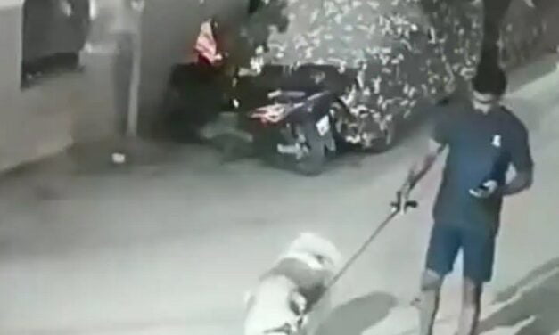 हैदराबाद में पेट डॉग को लेकर विवाद:घर के बाहर कुत्ता घुमाने को लेकर गुस्साए पड़ोसी; डॉग ओनर को लाठियों से पीटा
