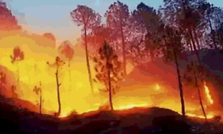 उत्तराखंड जंगल की आग पर आज फिर सुनवाई:सुप्रीम कोर्ट ने कहा था