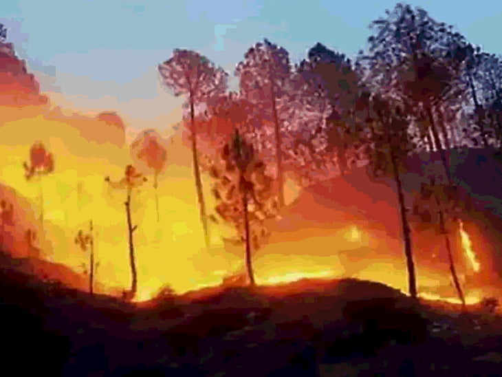 उत्तराखंड जंगल की आग पर आज फिर सुनवाई:सुप्रीम कोर्ट ने कहा था