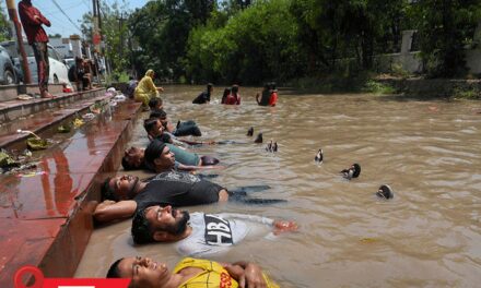 बठिंडा में 48.4º पहुंचा तापमान, 46 साल में सबसे ज्यादा:IMD बोला