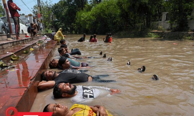 बठिंडा में 48.4º पहुंचा तापमान, 46 साल में सबसे ज्यादा:IMD बोला