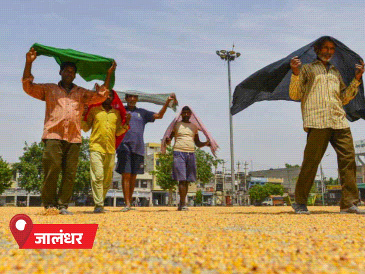 महाराष्ट्र में बारिश-बिजली से एक हफ्ते में 8 की मौतें:राजस्थान में तूफान से 4 की जान गई, आज भी 40-50KM की रफ्तार से हवाएं चलेंगी