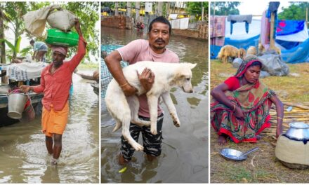 डूबे आशियाने, अपनों की ढूंढती गमगीन आंखें, इंसान के साथ तड़पते बेजुबान… असम में कुदरत का ये कैसा कहर!
