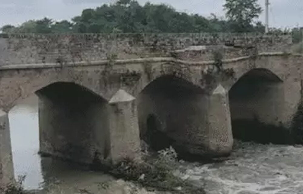 भास्कर ओपिनियन:पुल इसलिए बनते हैं, ताकि नदियां उनके नीचे से निकल सकें