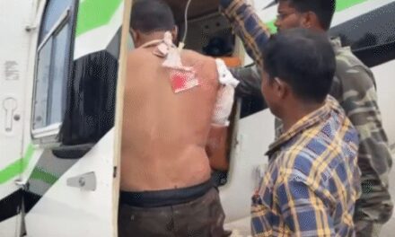 छत्तीसगढ़-महाराष्ट्र बॉर्डर पर मुठभेड़…12 नक्सली ढेर:सब इंस्पेक्टर समेत 2 जवान घायल; AK-47, इंसास के साथ ऑटोमैटिक हथियार बरामद