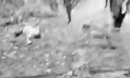 केदारनाथ पैदल मार्ग पर 3 तीर्थयात्रियों की मौत:गौरीकुंड के पास पहाड़ से पत्थर गिरने से हादसा, दो लोग घायल