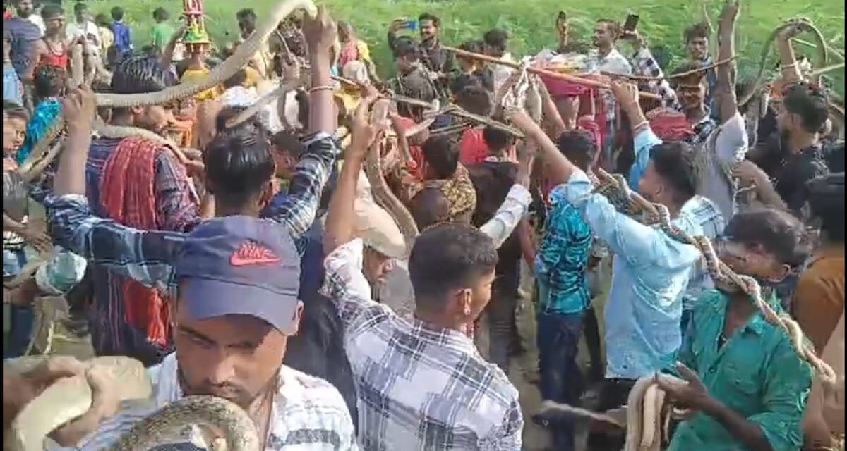 हजारों की भीड़, हर गले में सांप : बिहार के इस मेले में ये क्या हो रहा… जहां पूजे जाते हैं नाग