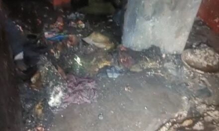 बैटरी से लगी आग, 3 बच्चियां जिंदा जलीं:नोएडा में बेड पर सो रही थीं, पिता की हालत गंभीर