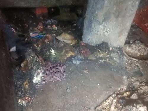 बैटरी से लगी आग, 3 बच्चियां जिंदा जलीं:नोएडा में बेड पर सो रही थीं, पिता की हालत गंभीर