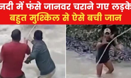 जम्मू-कश्मीर: नदी का बहाव अचानक तेज होने से फंसे दो लड़के, देखें