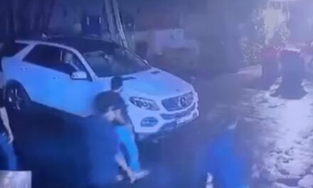 मिहिर के ब्लड में नहीं मिले शराब के सैंपल:मुंबई BMW केस की फॉरेंसिक रिपोर्ट में दावा, 3 दिन बाद की गई थ