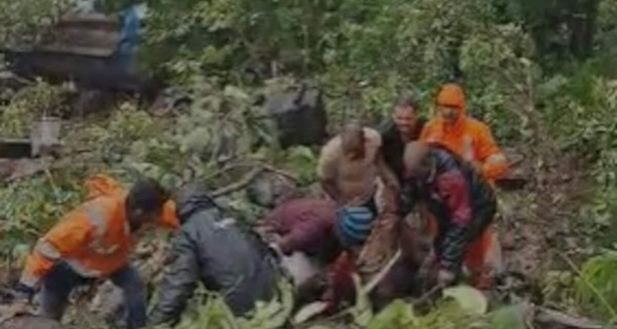 महाराष्ट्र के नासिक में 300 फीट गहरी खाई में गिरा दूध से भरा टैंकर, 5 की मौत, 4 घायल