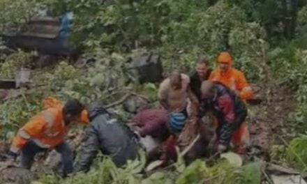 महाराष्ट्र के नासिक में 300 फीट गहरी खाई में गिरा दूध से भरा टैंकर, 5 की मौत, 4 घायल