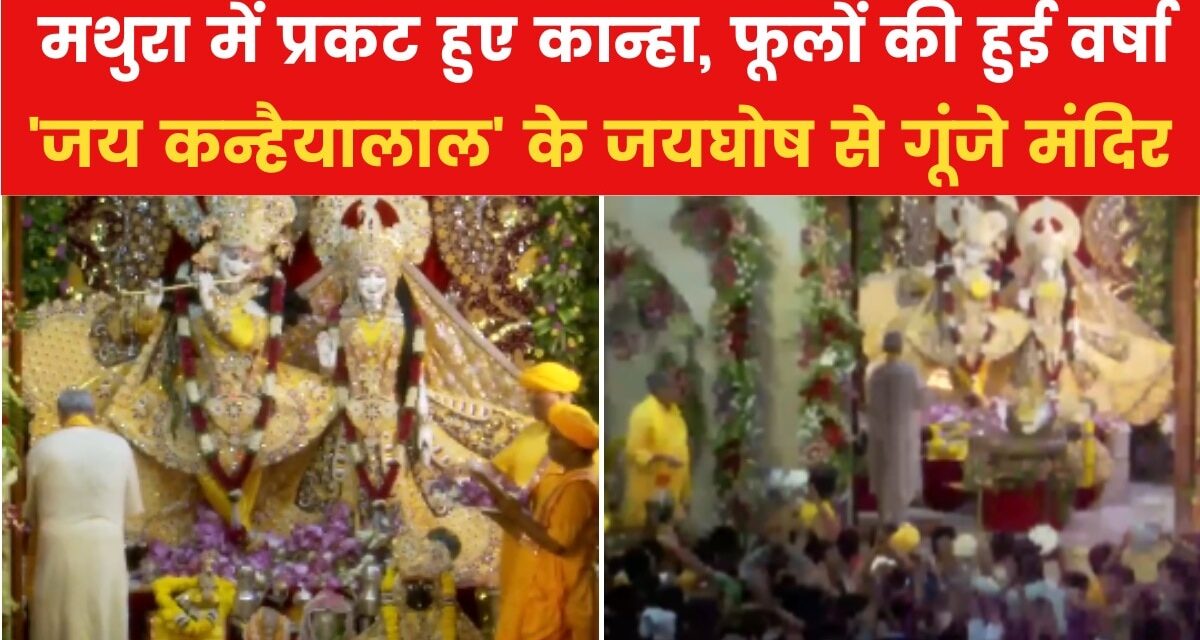 मथुरा में प्रकट हुए गोपाला… कृष्ण की भक्ति में डूबा देश, देखें VIDEO