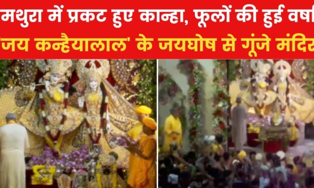 मथुरा में प्रकट हुए गोपाला… कृष्ण की भक्ति में डूबा देश, देखें VIDEO