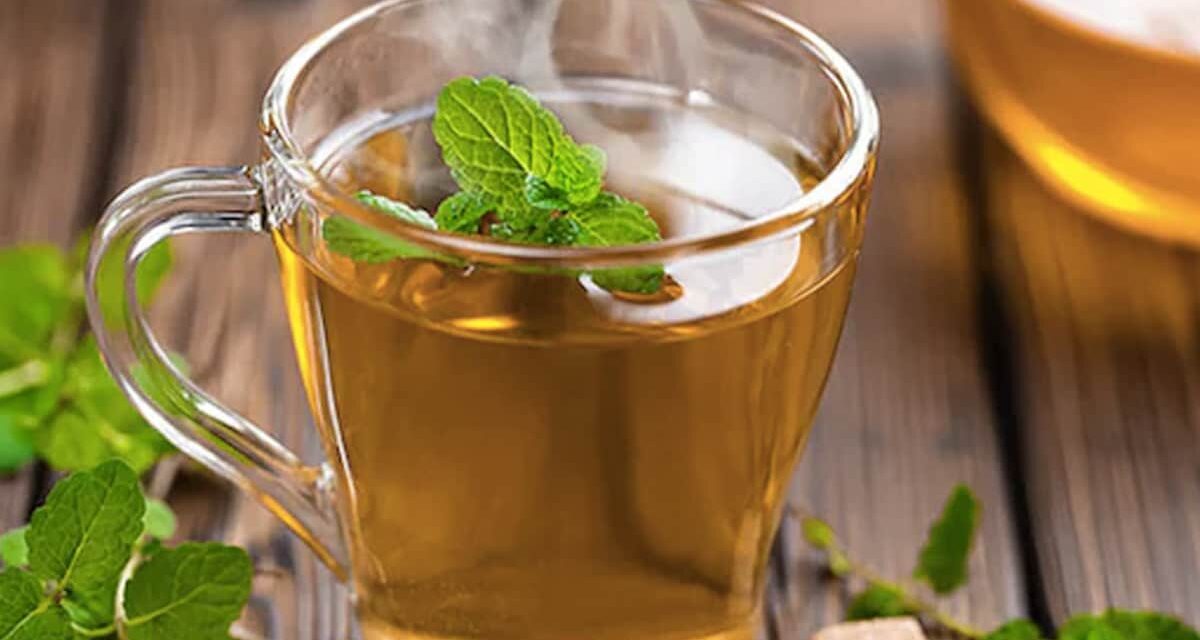 ग्रीन टी पीने का भी होता है सही समय, इस टाइम पीएंगे तो मिलेंगे इतने सारे फायदे