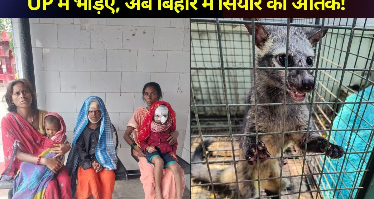 मणिपुर के जिरीबाम में फिर हिंसा, गोलीबारी में 3 लोगों की मौत