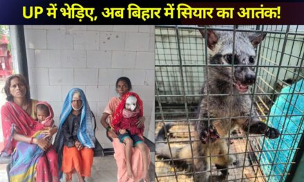 मणिपुर के जिरीबाम में फिर हिंसा, गोलीबारी में 3 लोगों की मौत