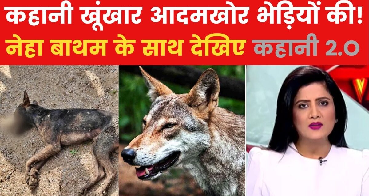 कहानी: कई लोगों को बना चुके शिकार, कैसे काबू आएंगे बहराइच के आदमखोर भेड़िए?