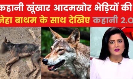 कहानी: कई लोगों को बना चुके शिकार, कैसे काबू आएंगे बहराइच के आदमखोर भेड़िए?
