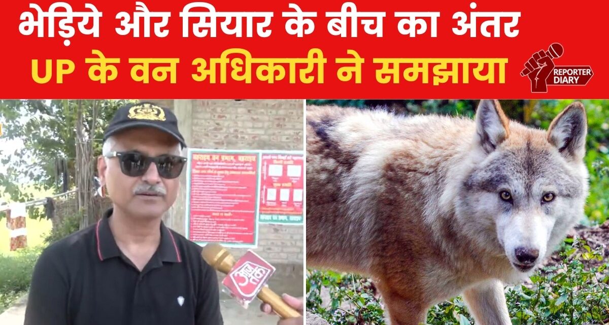 बहराइच में कहां तक पहुंचा 'ऑपरेशन भेड़िया', UP के वन अधिकारी ने बताया