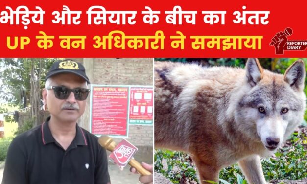 बहराइच में कहां तक पहुंचा 'ऑपरेशन भेड़िया', UP के वन अधिकारी ने बताया