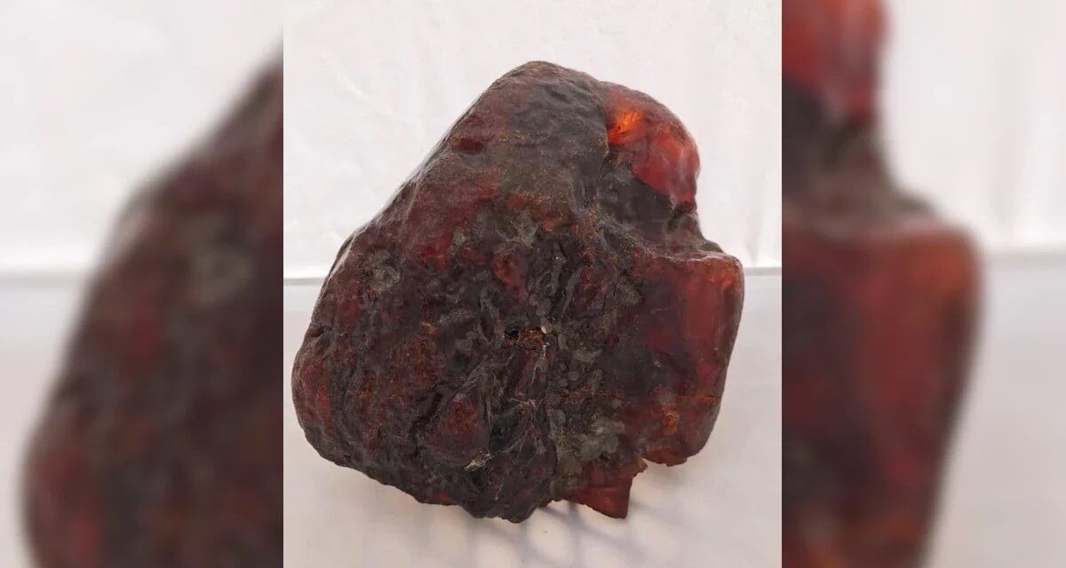 डोरस्टॉप समझ उपयोग करती रही थी महिला, पत्थर निकला कुबेर का खजाना, कीमत 9 करोड़ रुपये