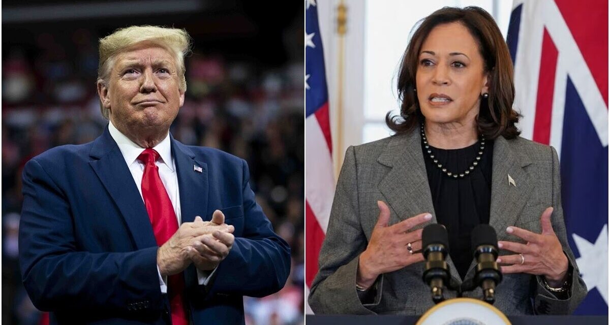 कमला हैरिस VS ट्रंप: US राष्ट्रपति चुनाव से पहले हुए सर्वे में कौन लीड कर रहा?