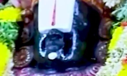 तिरुपति मंदिर के प्रसाद का सच कैसे आया सामने? देखें