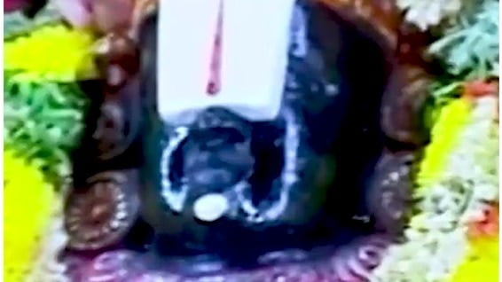 तिरुपति मंदिर के प्रसाद का सच कैसे आया सामने? देखें