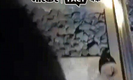 फेक न्यूज एक्सपोज:ट्रेन जिहाद के नाम से VIDEO वायरल; जानिए क्या है दावे की सच्चाई