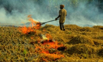पंजाब-हरियाणा-पाकिस्तान में जल रही है पराली, लेकिन दिल्ली में कंट्रोल है प्रदूषण, जानिए वजह