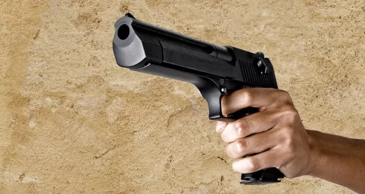 अब सोशल मीडिया बना हथियार बेचने का ज़रिया, पेमेंट भी हो रही ऑनलाइन