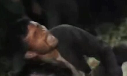 जम्मू-कश्मीर के बडगाम में आतंकी हमला:UP के दो युवकों को गोली मारी; 12 दिन पहले 7 लोगों की हत्या हुई थी