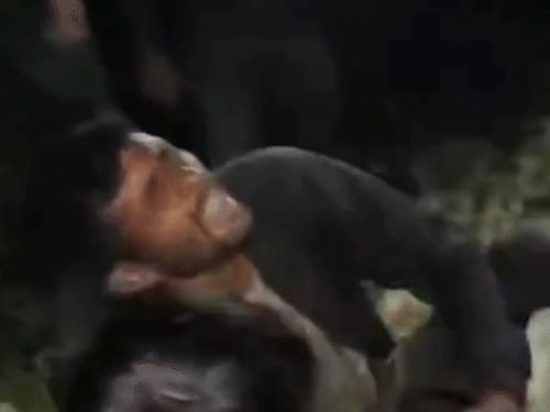 जम्मू-कश्मीर के बडगाम में आतंकी हमला:UP के दो युवकों को गोली मारी; 12 दिन पहले 7 लोगों की हत्या हुई थी