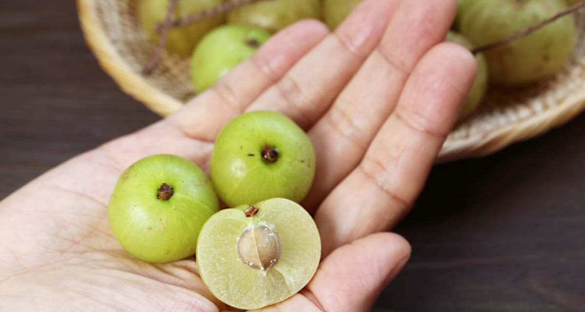 100 रोगों की 1 दवा है ये सुपरफूड, जानें इसके कमाल के फायदे और खाने का तरीका