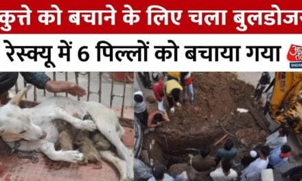 आगरा में बुलडोजर का 8 घंटे का रेस्क्यू ऑपरेशन, 6 पिल्लो को बचाया