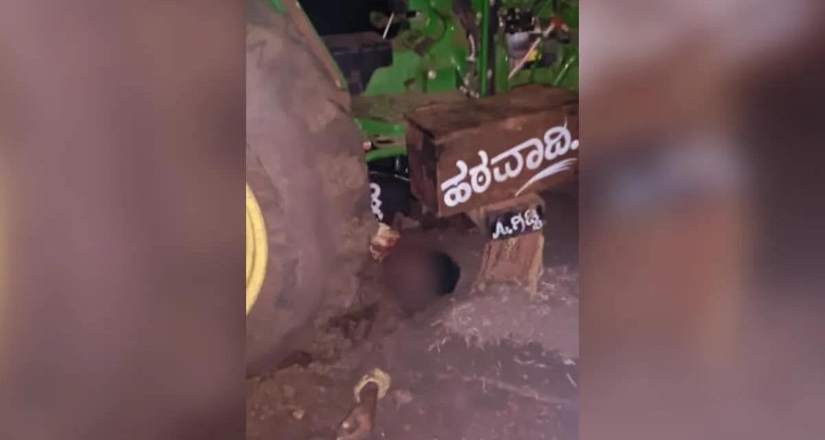 भाई की ट्रैक्टर से कुचलकर की हत्या, फिर पुलिस के सामने कर दिया सरेंडर